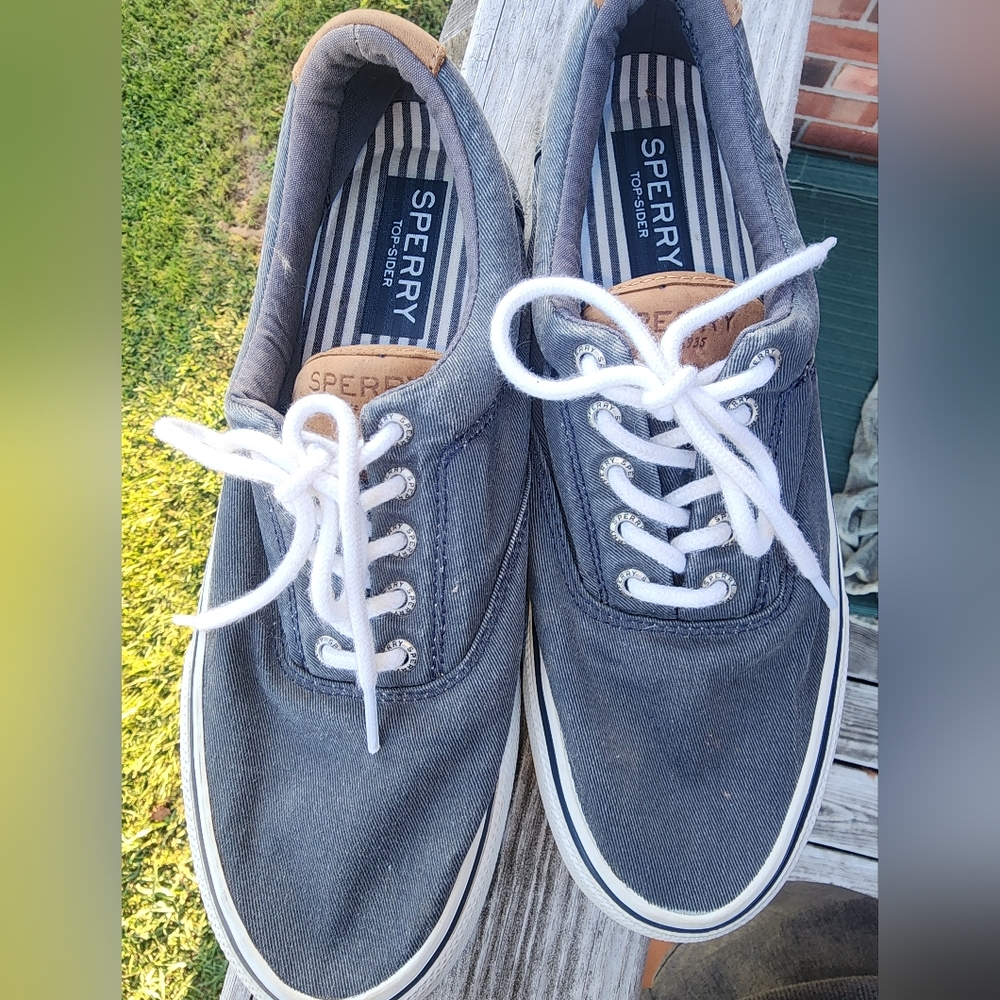 Sperry Men's Gray Canvas Shoes